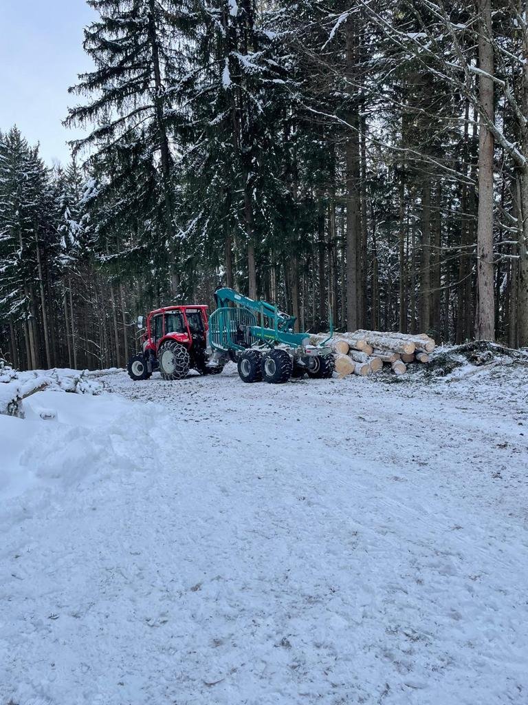 Traktor mit Rückewagen im Wald